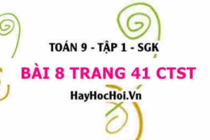 Bài 8 trang 41 Toán 9 tập 1 Chân trời sáng tạo